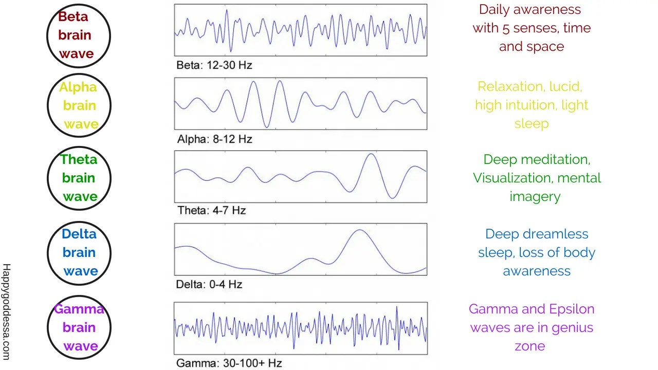 The Effect of Drumming on Our Brain Galitta