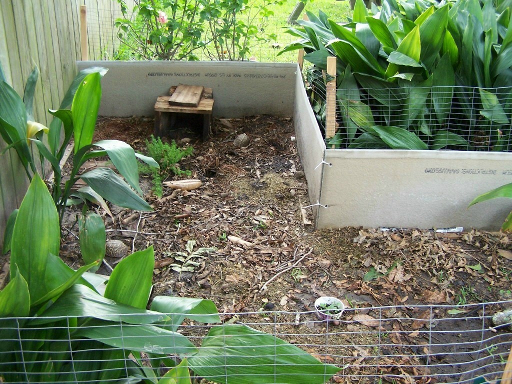 reptile and amphibian classifieds, breeders, forums