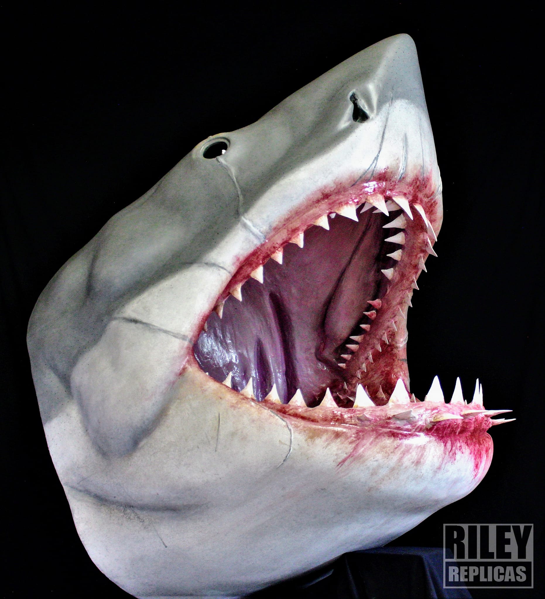 LifeSize JAWS Replica Bust Hot Wire Foam Factory