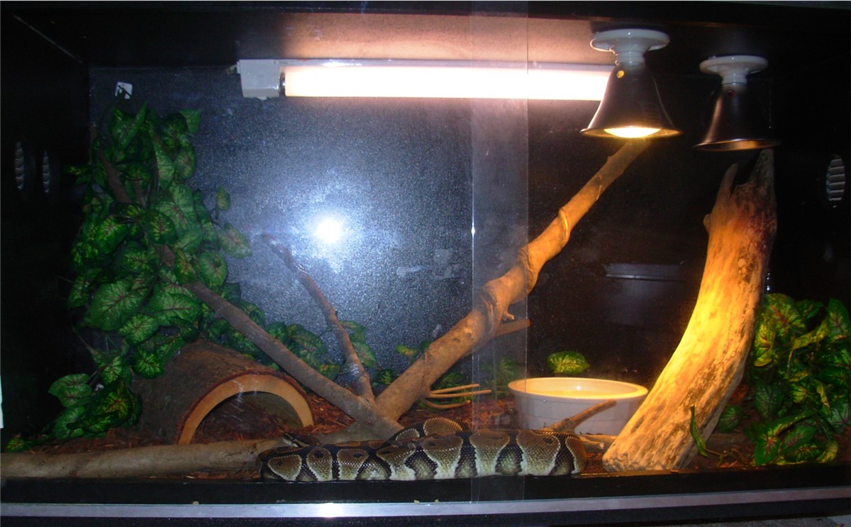 photo gallery > Cages, Terrariums, Ponds, Aquariums