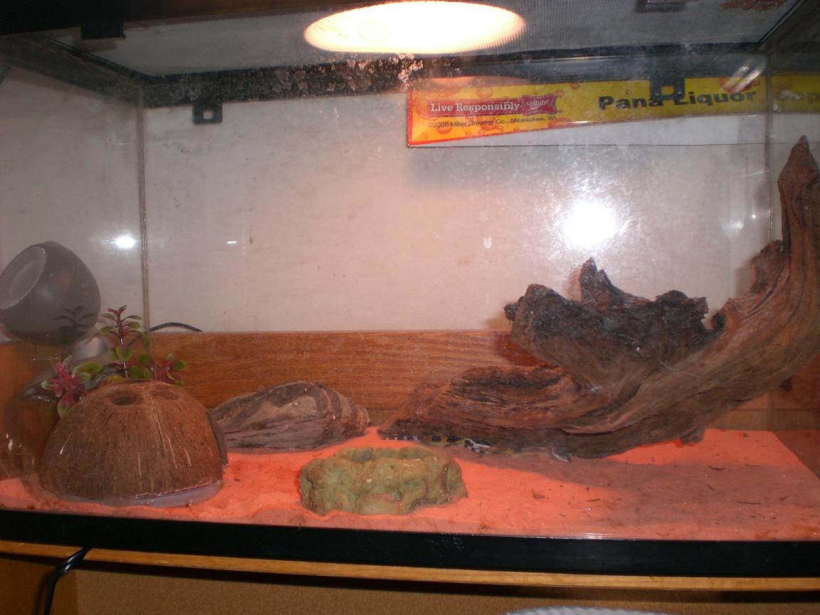 photo gallery > Cages, Terrariums, Ponds, Aquariums