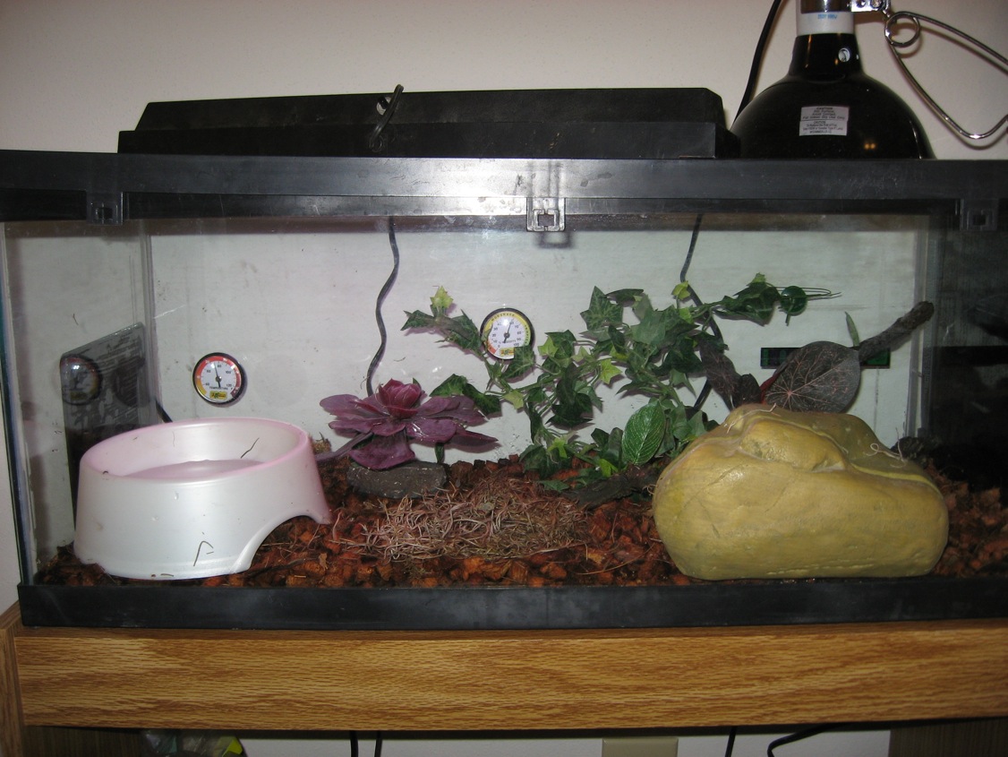 photo gallery > Cages, Terrariums, Ponds, Aquariums