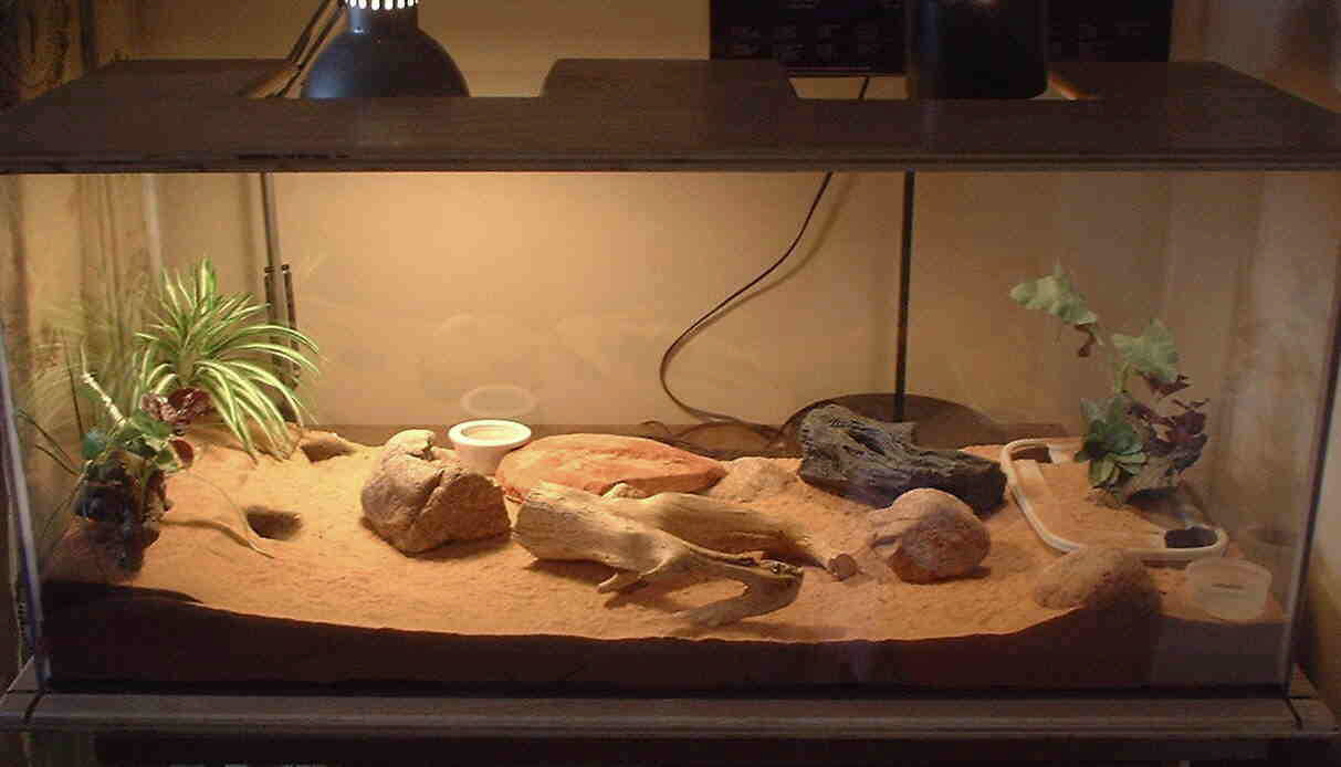 photo gallery > Cages, Terrariums, Ponds