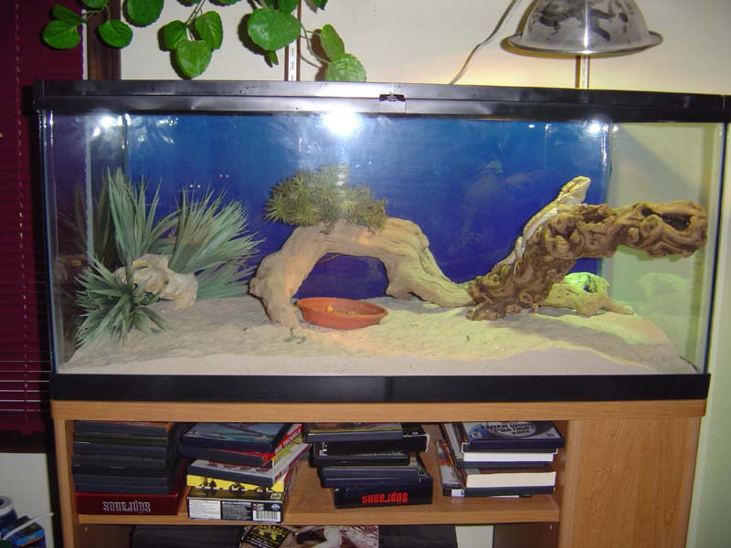 Photo Gallery> booths, balconies, ponds