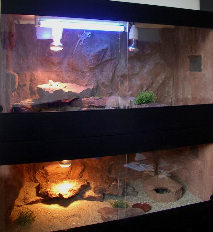 photo gallery > Cages, Terrariums, Ponds, Aquariums > New
