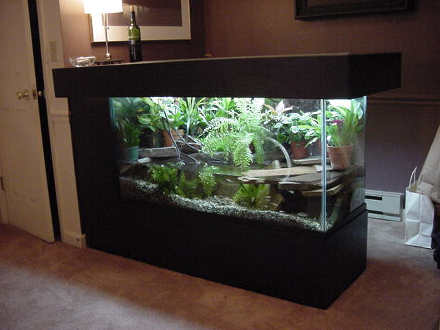 photo gallery > Cages, Terrariums, Ponds, Aquariums > Caiman Bar