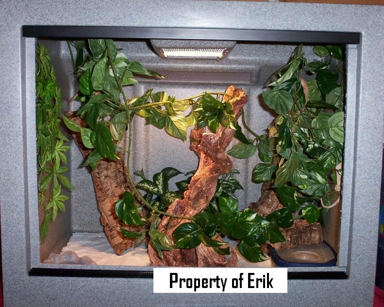 photo gallery > Cages, Terrariums, Ponds, Aquariums