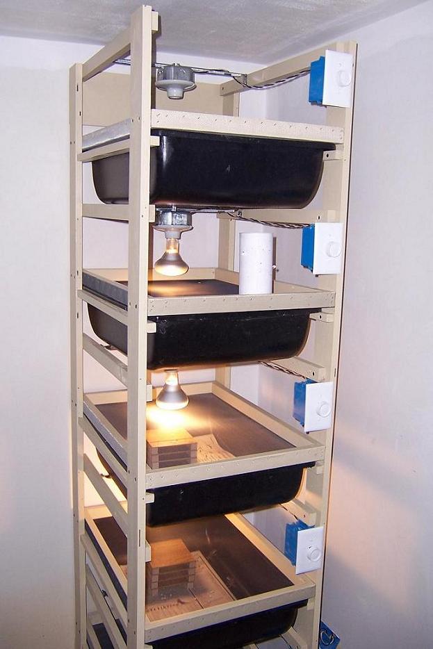 Photo Gallery > Member Galleries > Beards