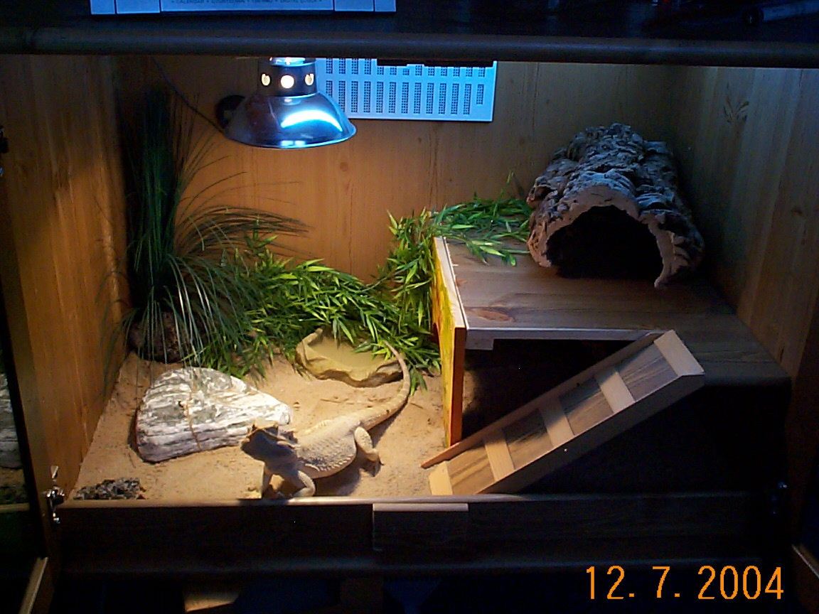 photo gallery > Cages, Terrariums, Ponds, Aquariums