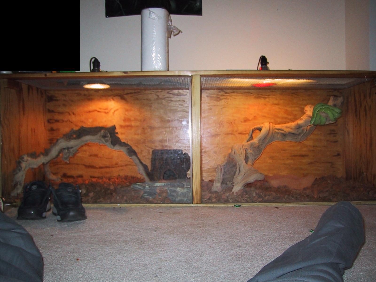 photo gallery > Cages, Terrariums, Ponds, Aquariums > new