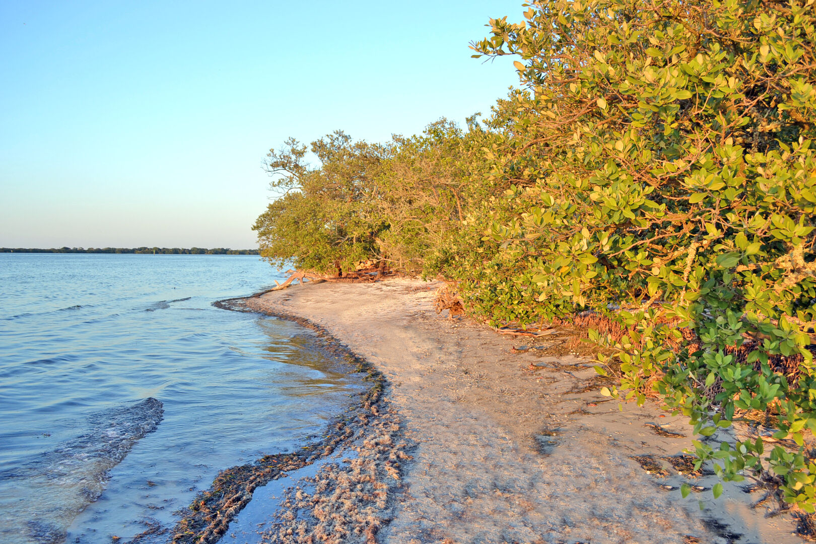 Relax in Desoto Bradenton House for Rent Rent The Keys