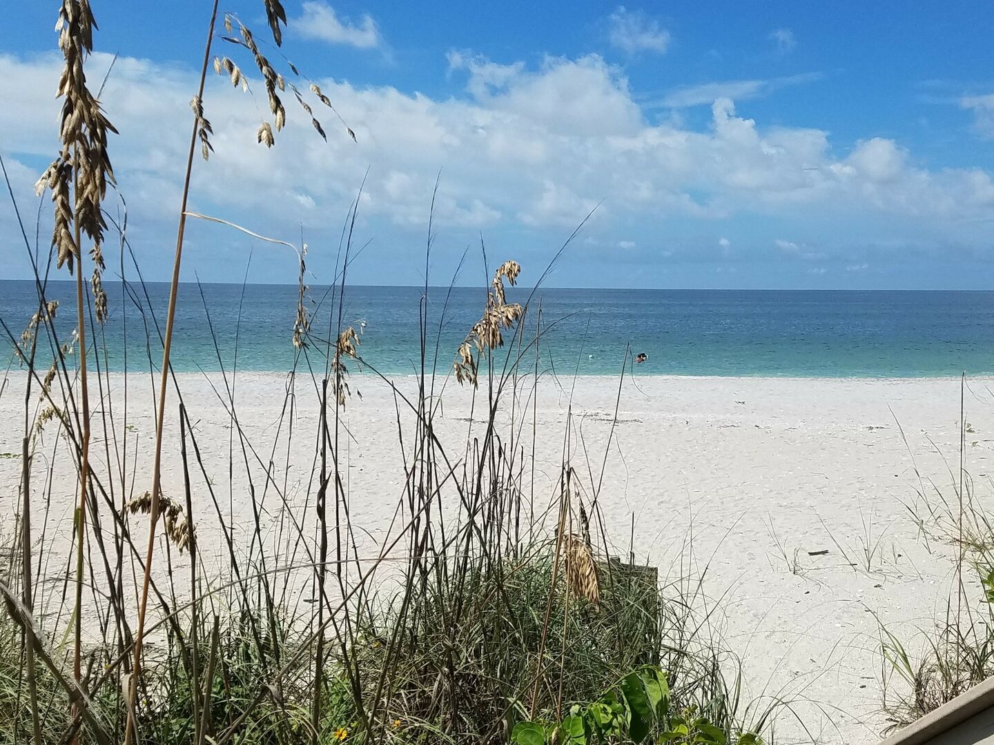 Englewood Beach Place 203 Gulf Realty Rentals