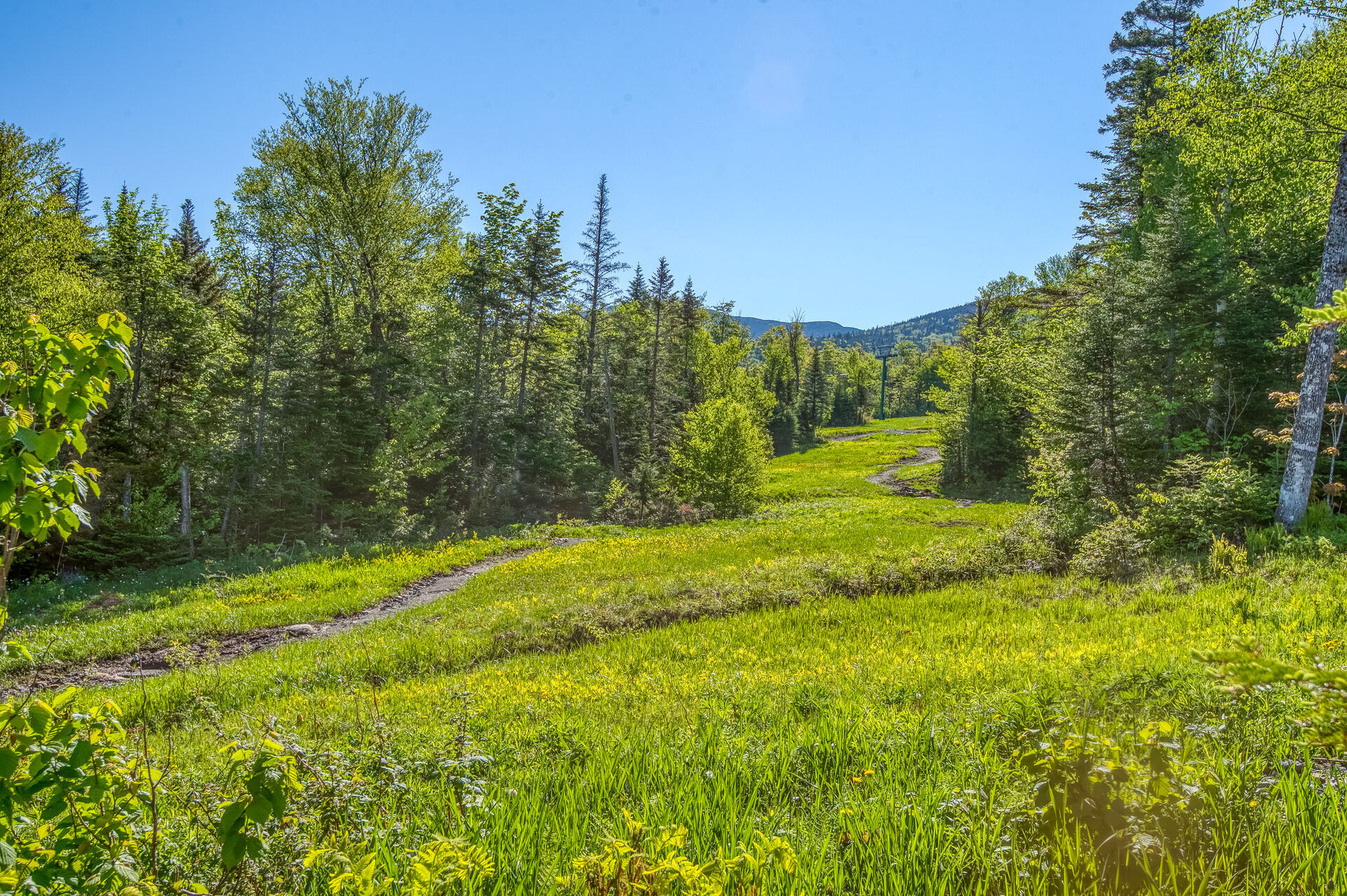 Morton & Furbish Vacation Rentals Saddleback Parmachenee AFrame 20