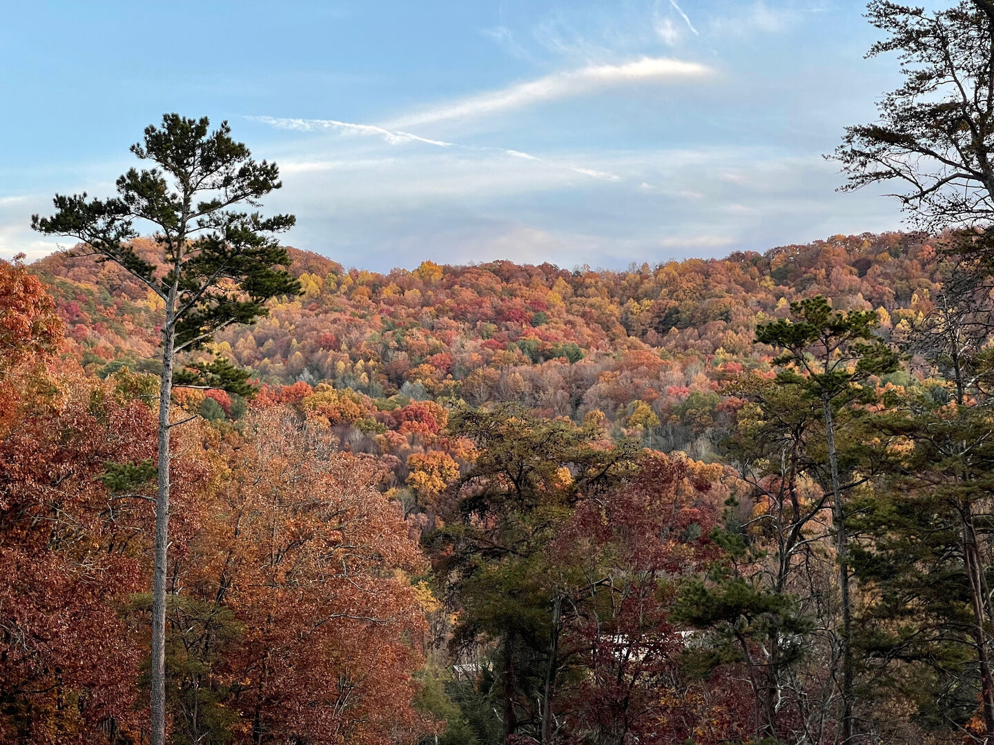 Weaver Creek Lodge in Blue Ridge, GA by Mountain Vibe Vacations Mountain Vibe Vacations