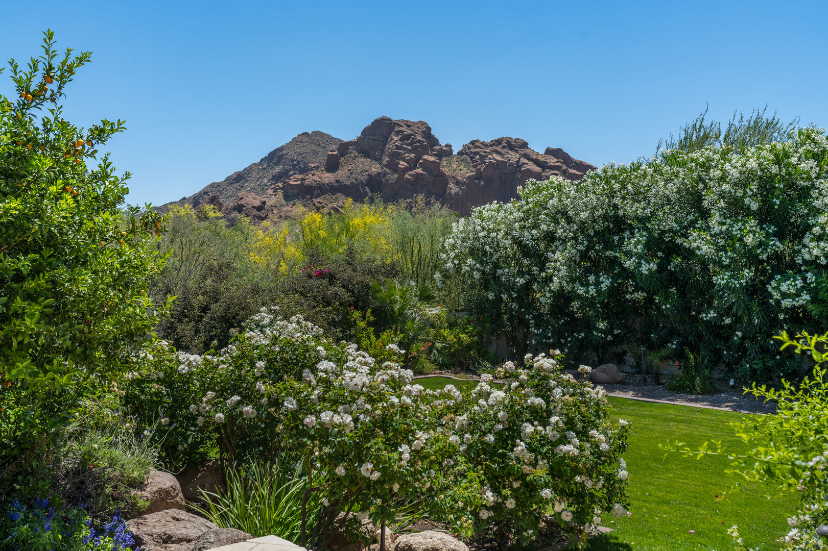Camelback Desert Tropics Paradise Valley Rental Porter Vacation