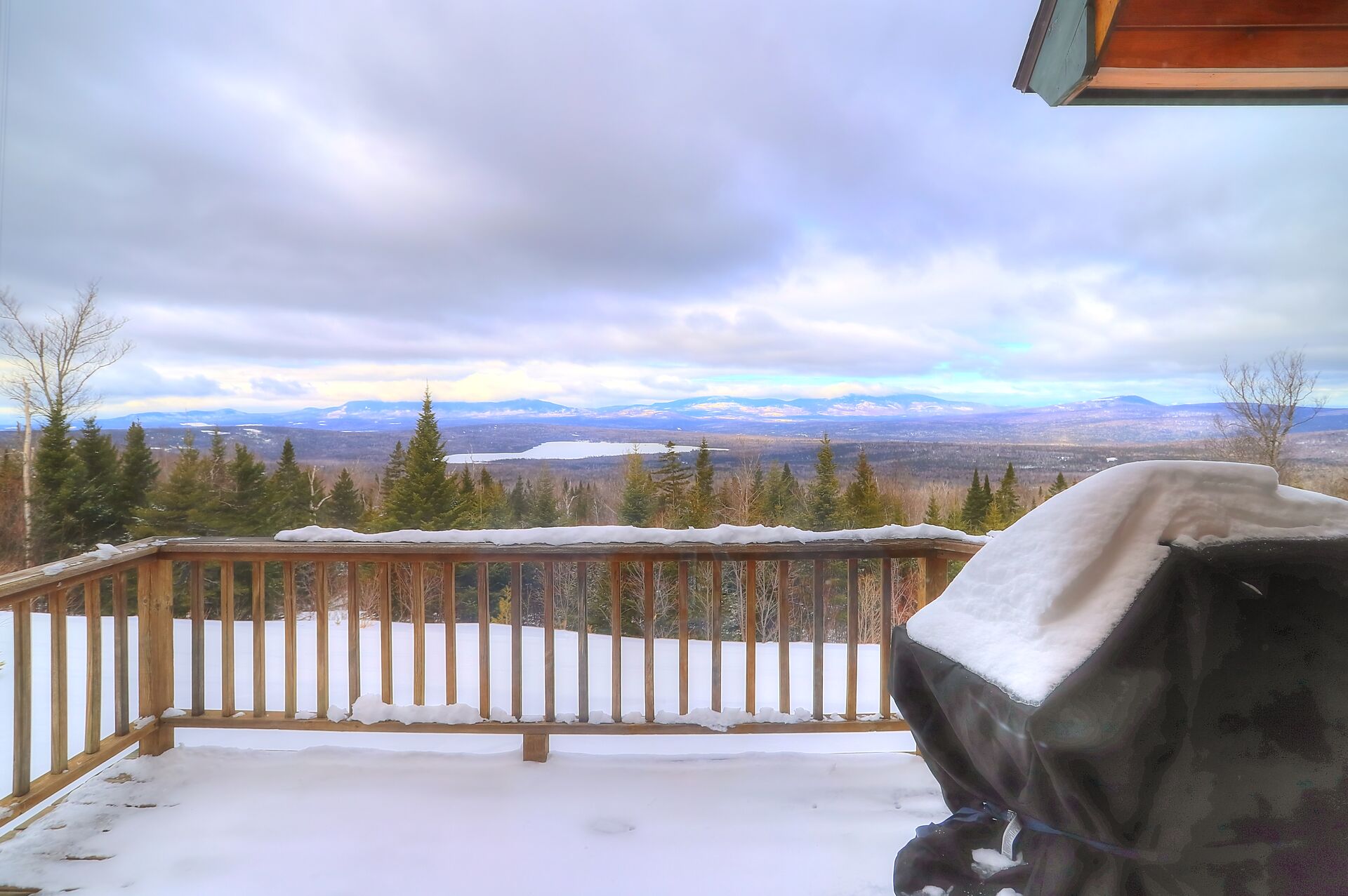 Morton & Furbish Vacation Rentals Saddleback Gray Fox 19 in Rangeley