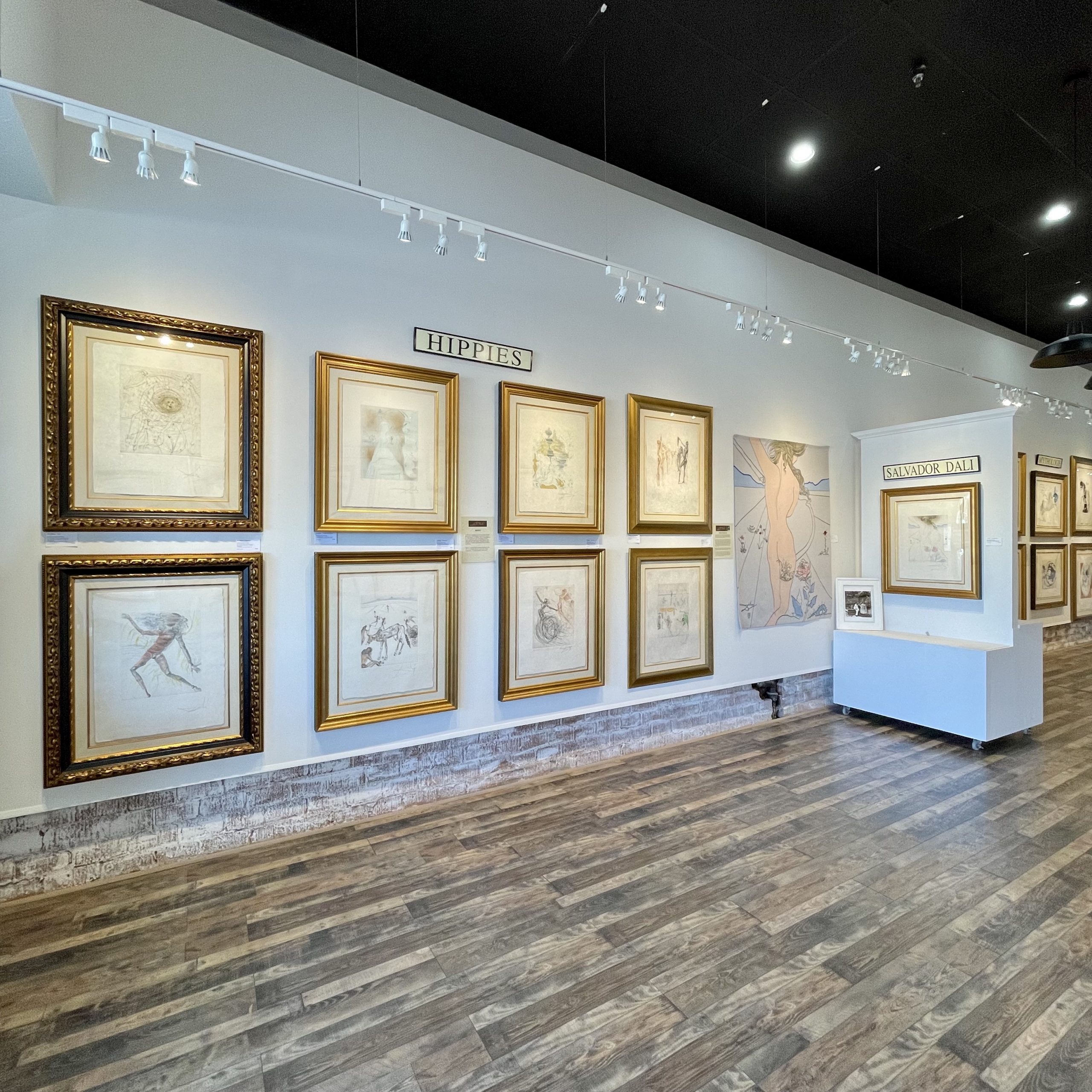 The Salvador Dali Experience Gallery725 Art Gallery Custom Framing Jacksonville Beach