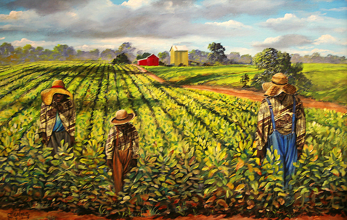 What Did Slaves Do On Tobacco Plantations at Thomas Dawes blog