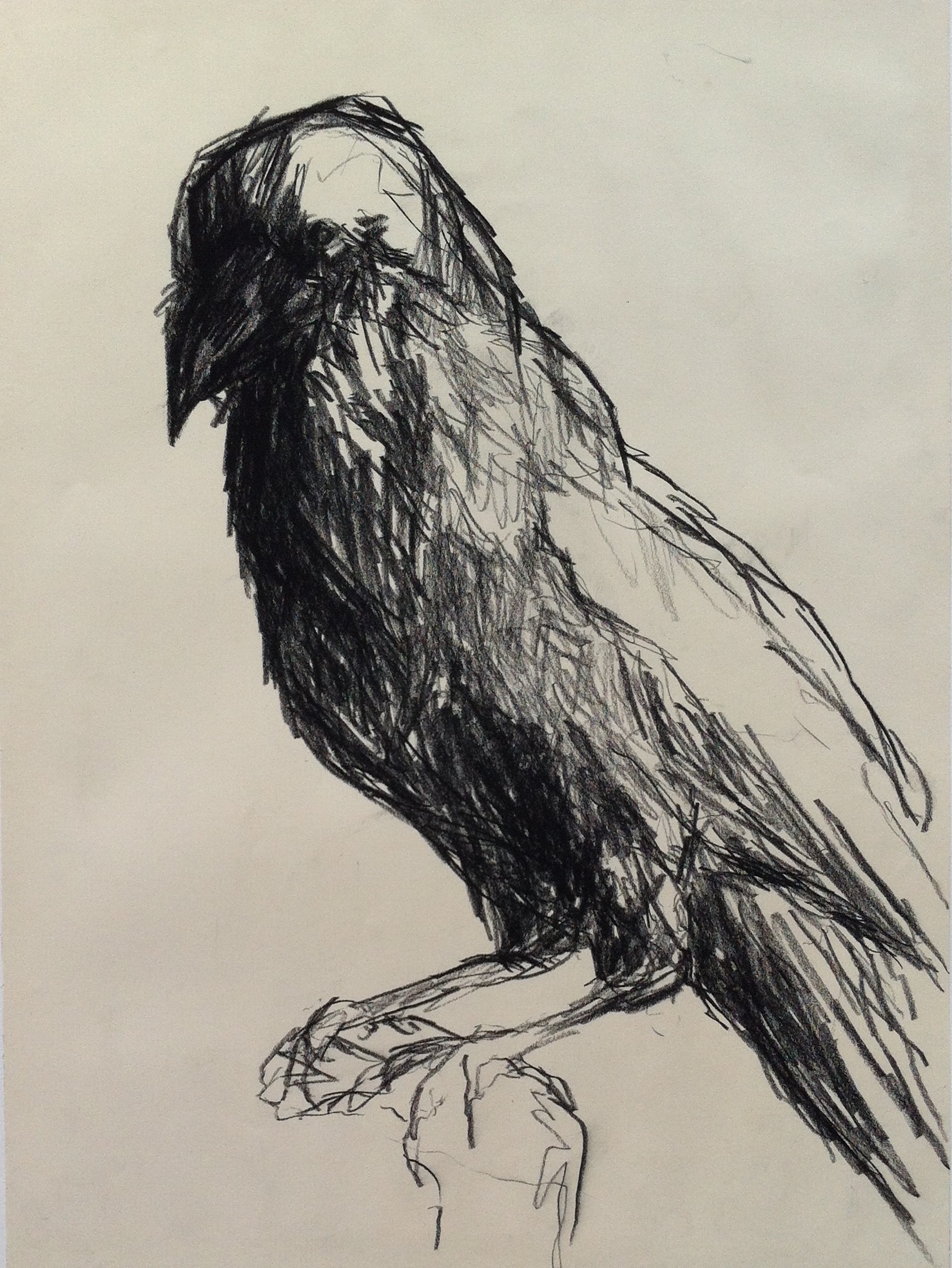 Black chalk drawings by Cecilie Nyman // GALLERY NYMAN