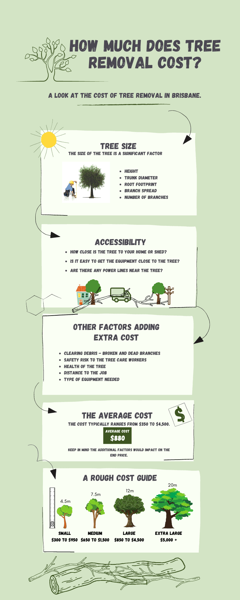 Tree Removal Costs in Brisbane [INFOGRAPHIC] [INFOGRAPHIC] Galleryr