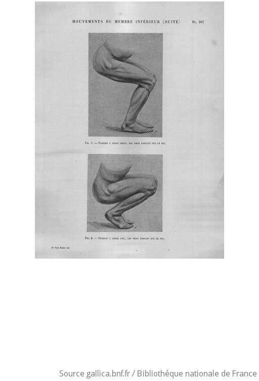Anatomie artistique. Planches / description des formes