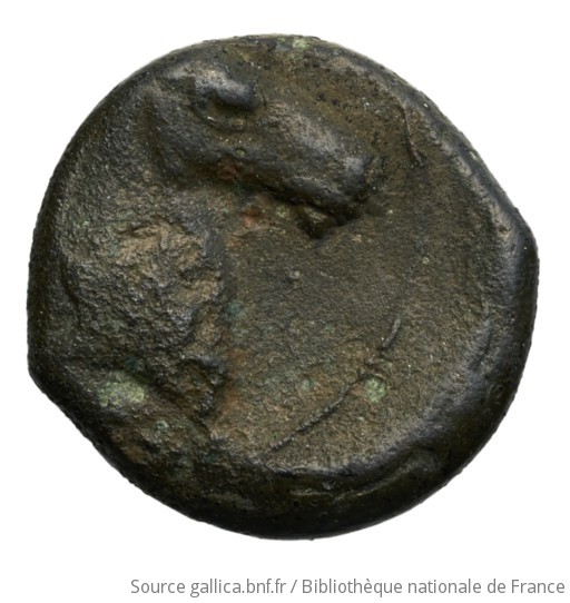 [Monnaie Shekel, bronze, Carthage, Zeugitane] Gallica