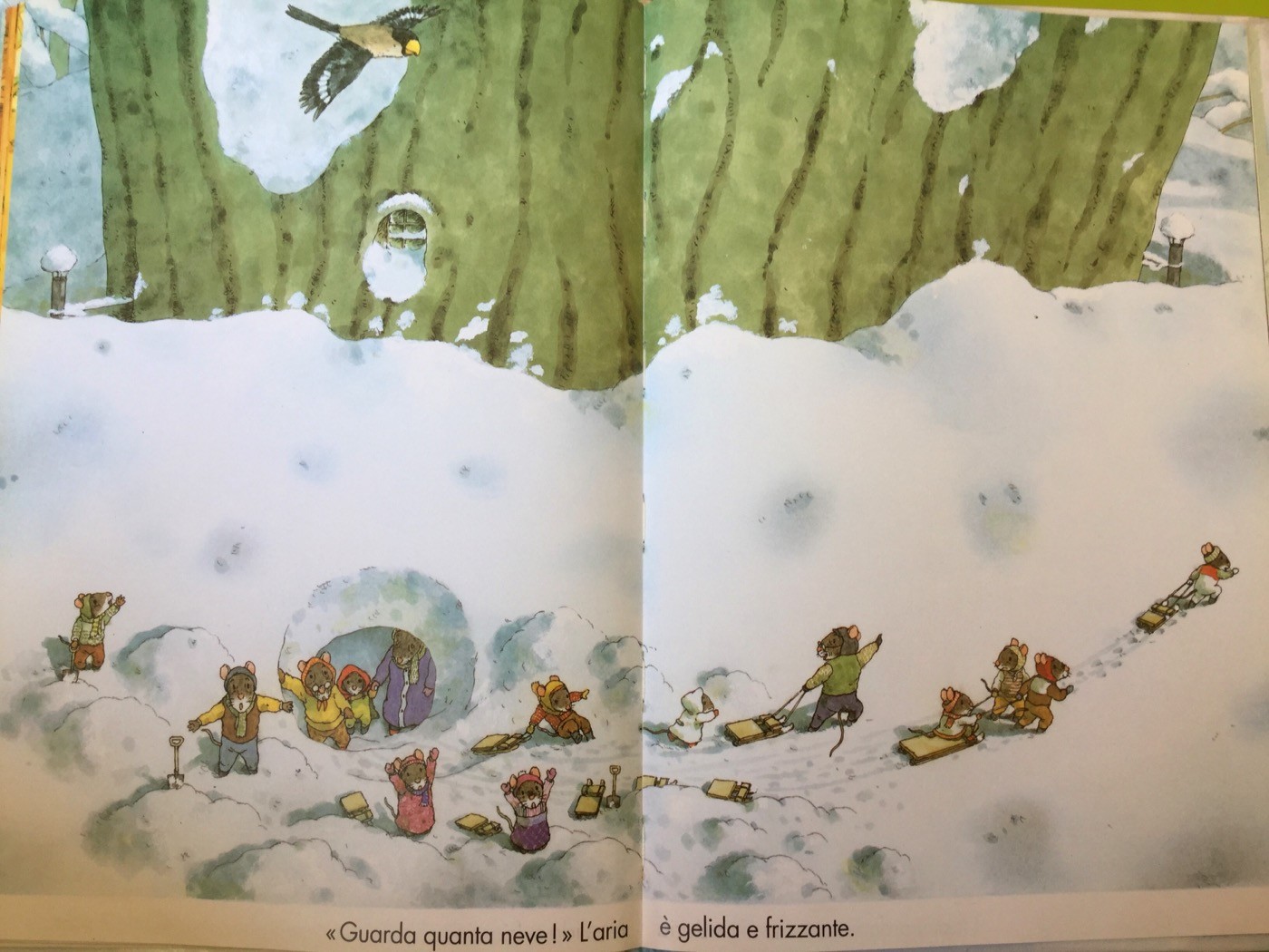 L'inverno della famiglia Topini