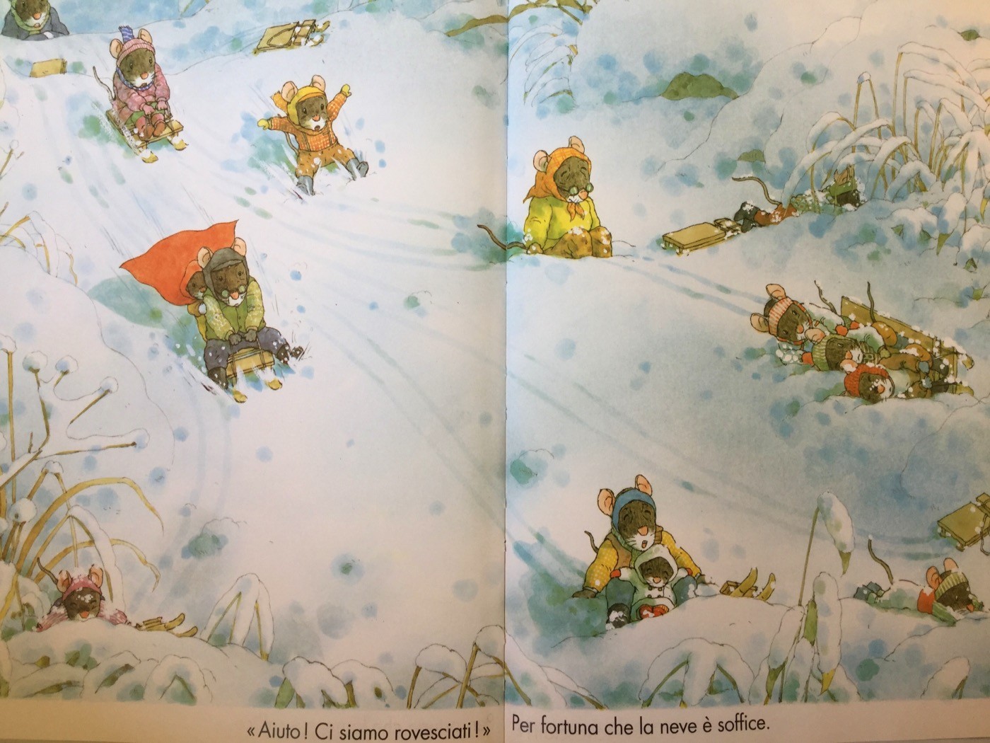 L'inverno della famiglia Topini