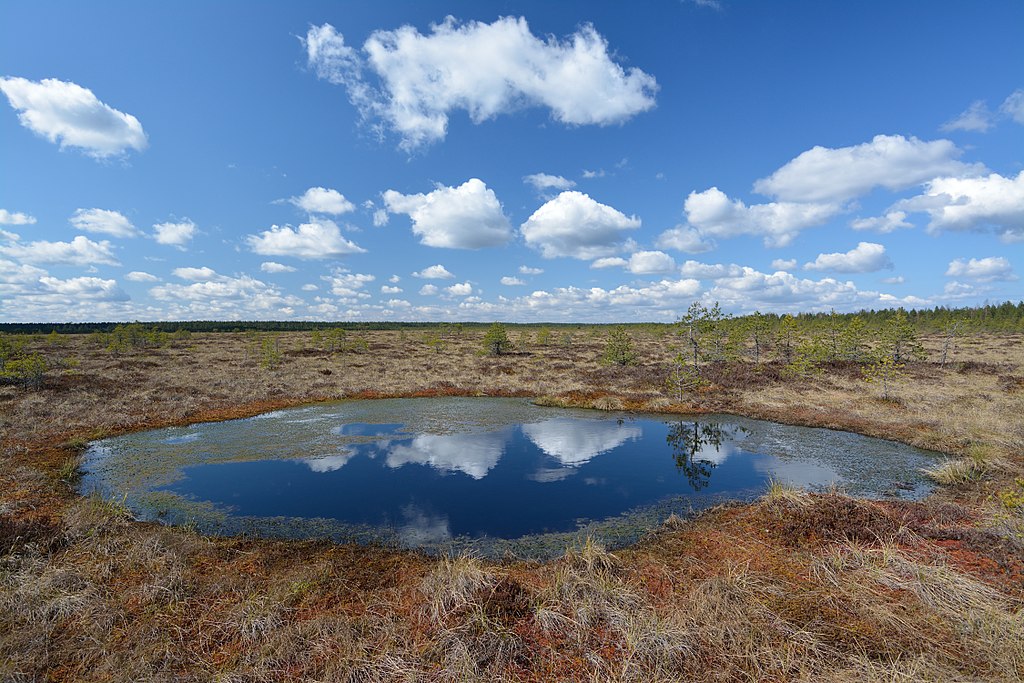 Bog Bodies A Real Human Connection To Our Ancient Past GALLIVANCE