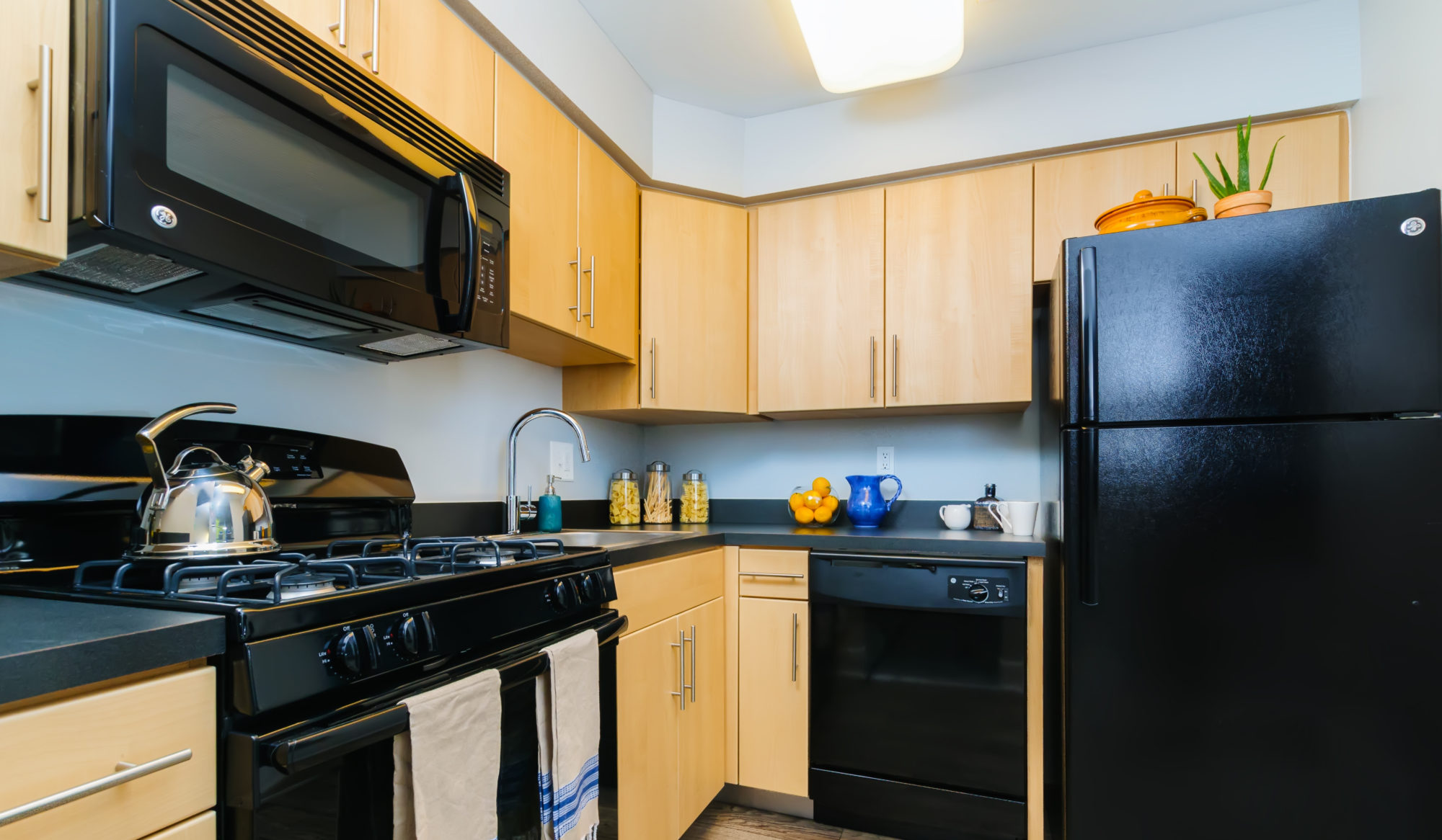 Sophias Place East Apartments in New Castle DE