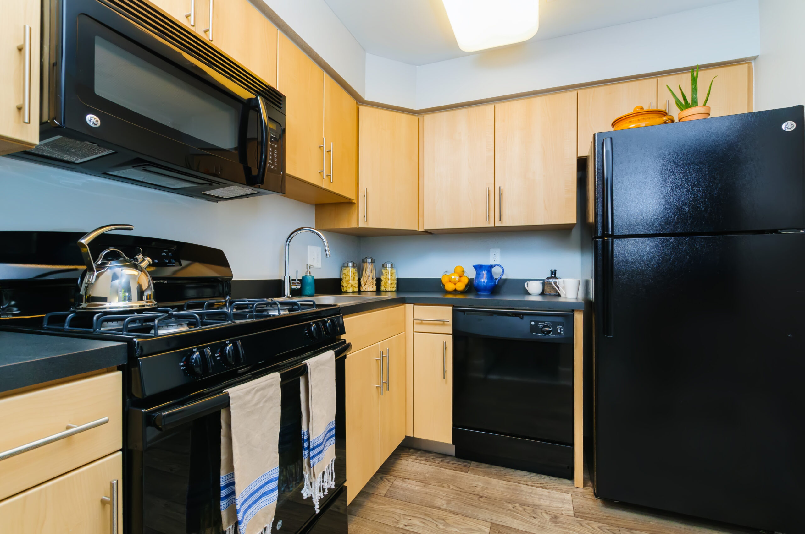 Coventry Apartments Fox Chase Apartments Northeast Philadelphia