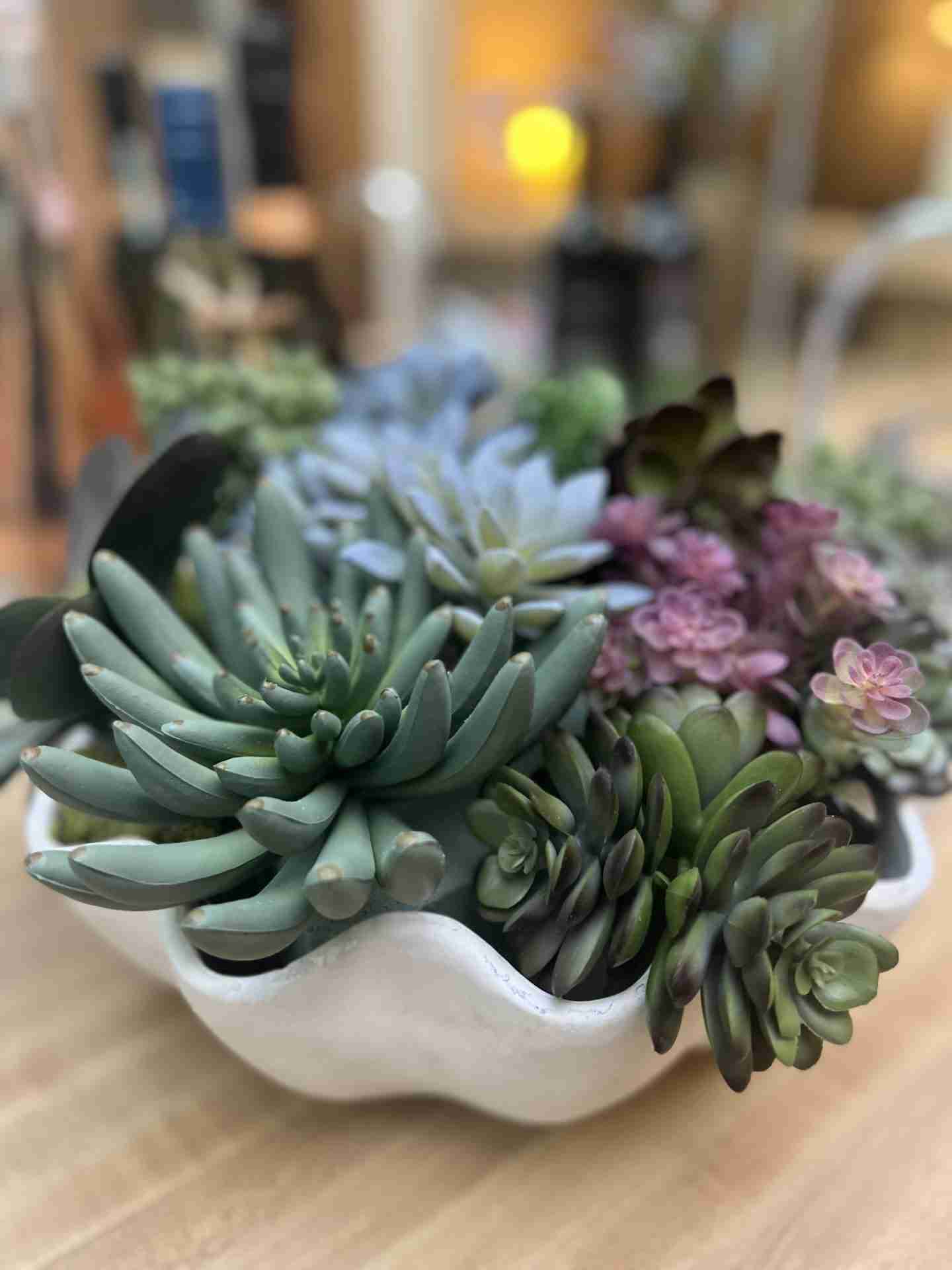 Easy DIY perfect faux succulent arrangementtutorial Gal Pal