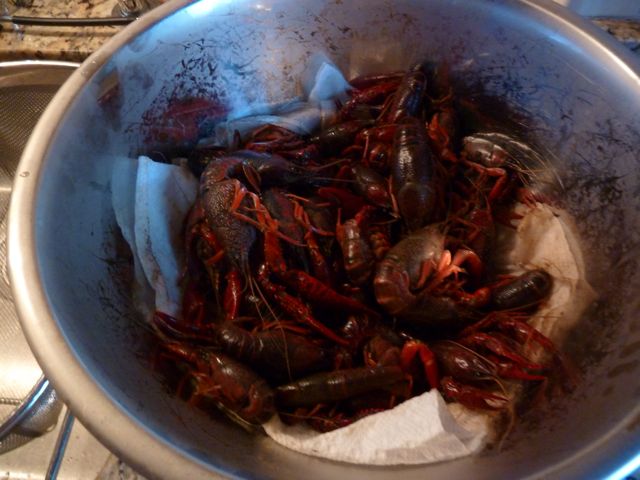Crawfish Boil for 2… galsoftheroundtable