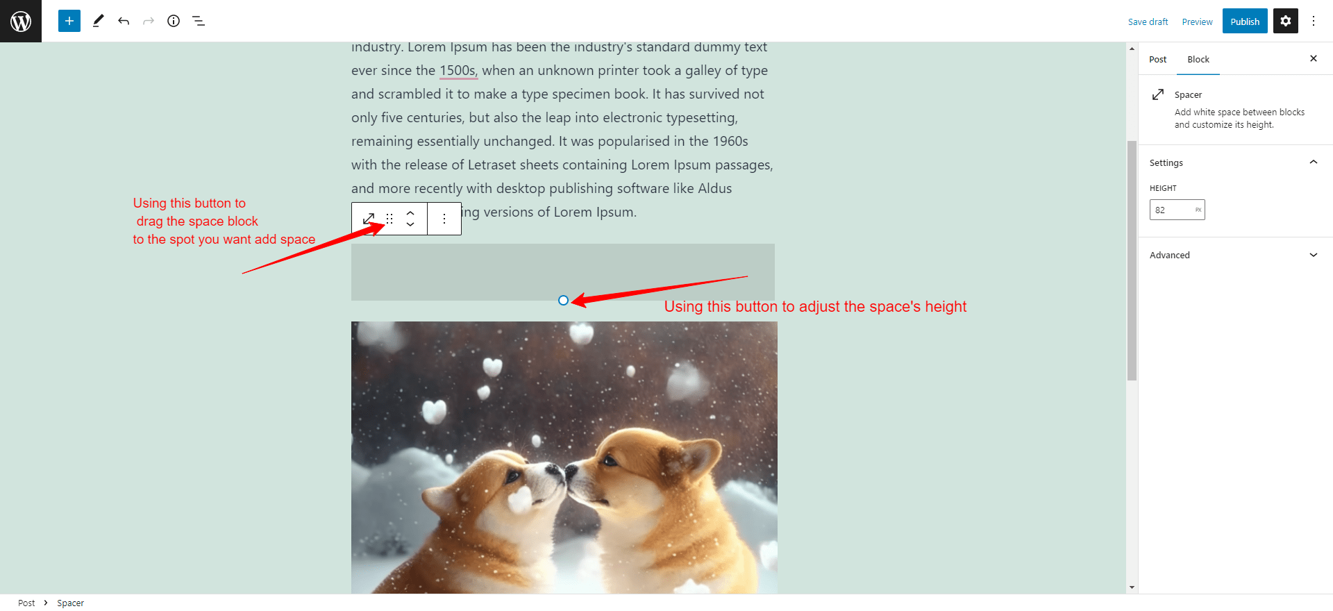 How to Add Space Between Blocks In WordPress 2024 GalussoThemes