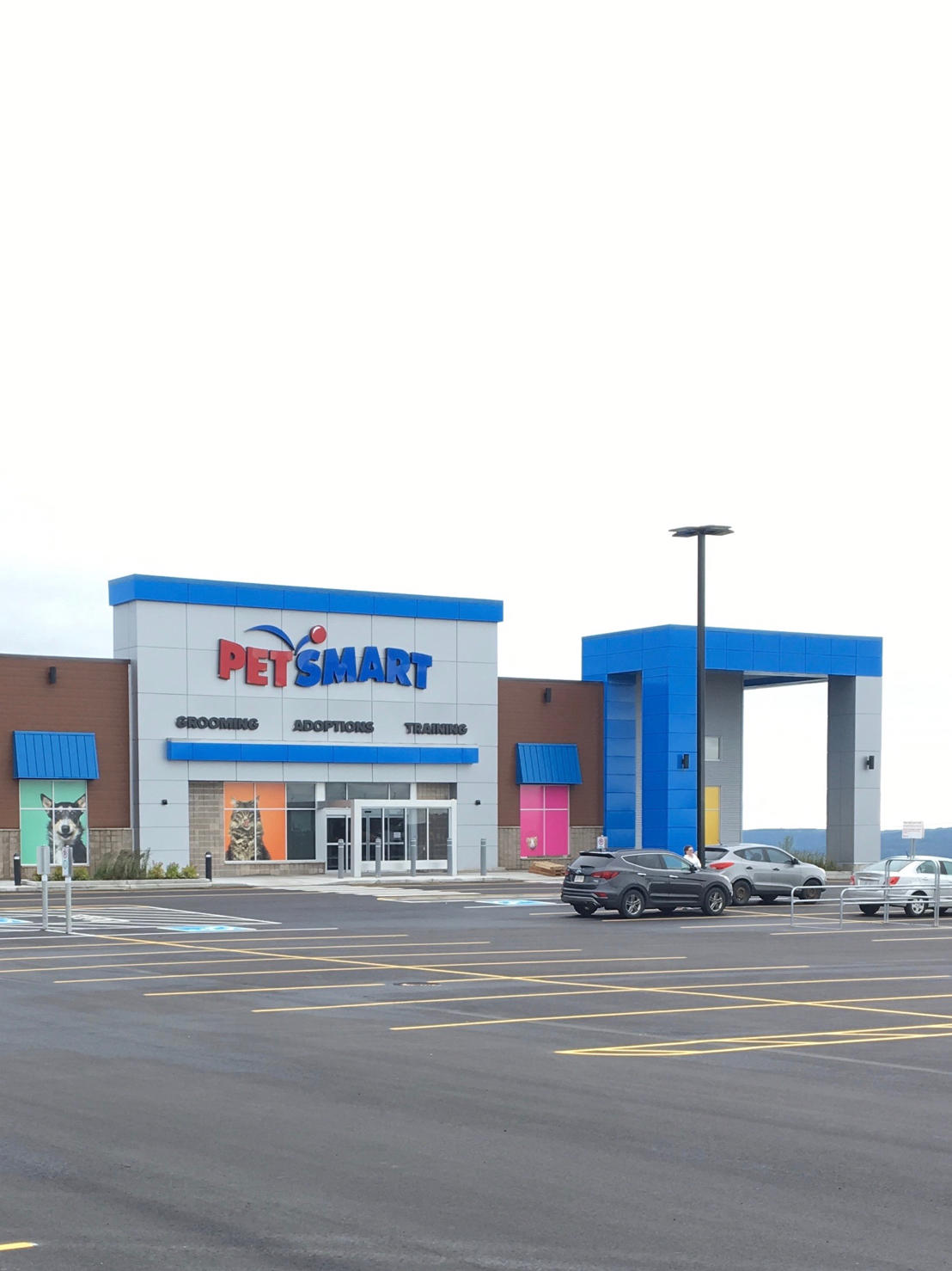 petsmart Galway Living