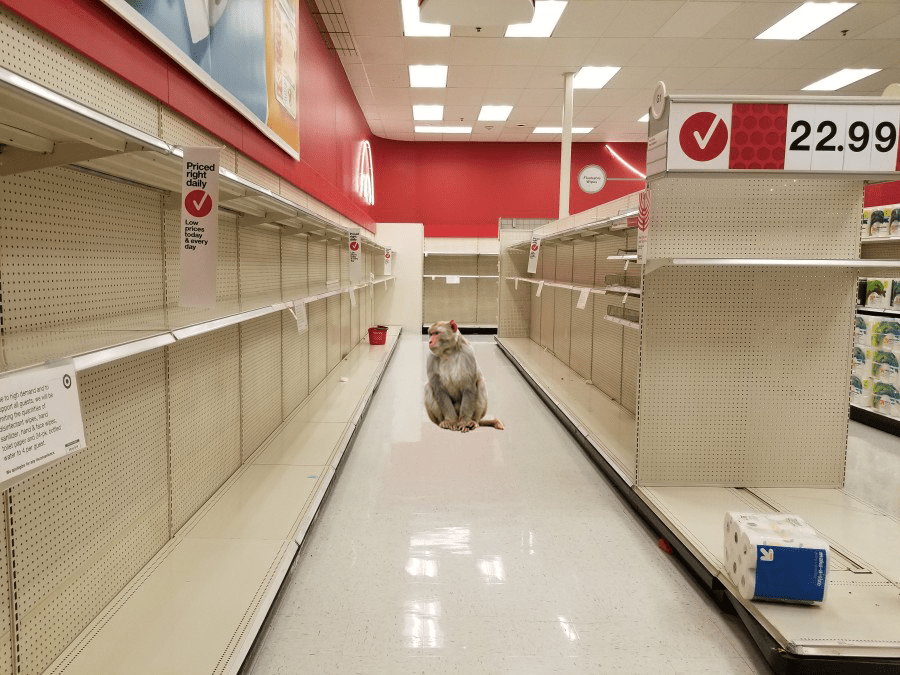 COVID Causes Banana Stock in Primate Grocery Stores to Hit AllTime Low