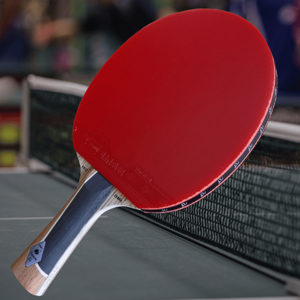 Gambler Zebrawood IM8 Carbon with Zero Rubber ⋆ Gambler Table Tennis