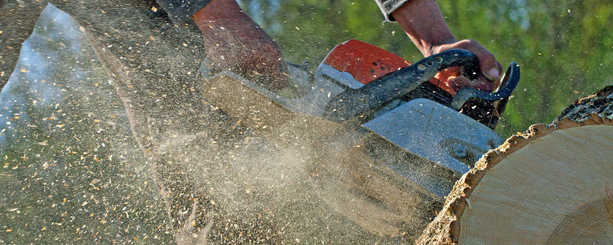 NJ Tree Removal Banner 3 Modern Design