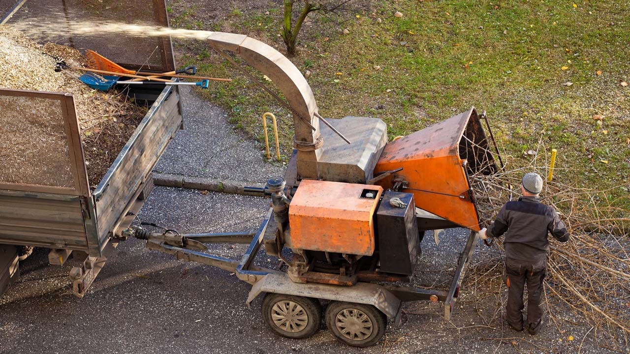 Tree Removal NJ Affordable Tree Removal Services NJ