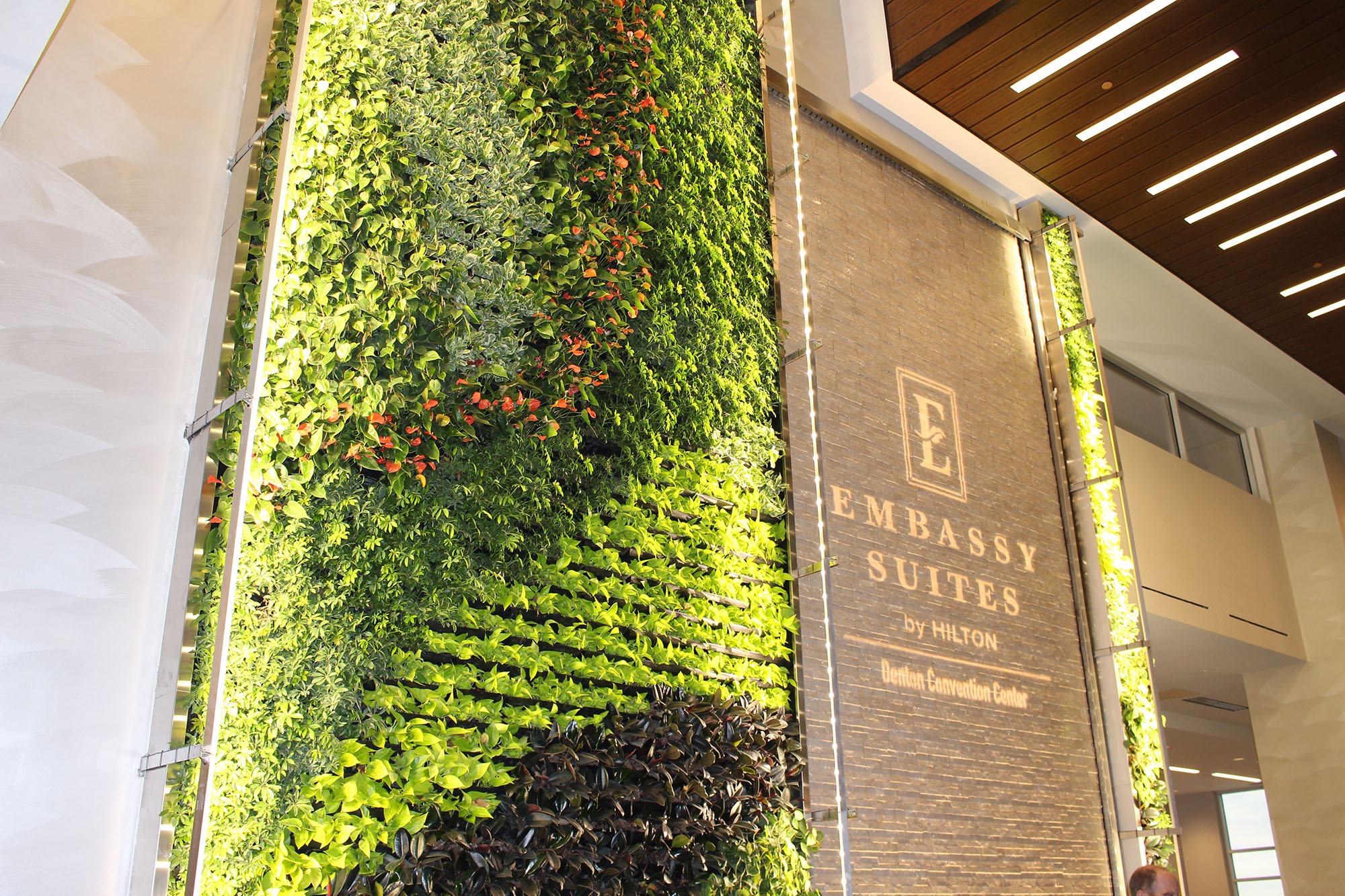 What Are Living Green Walls Benefits & How They're Made