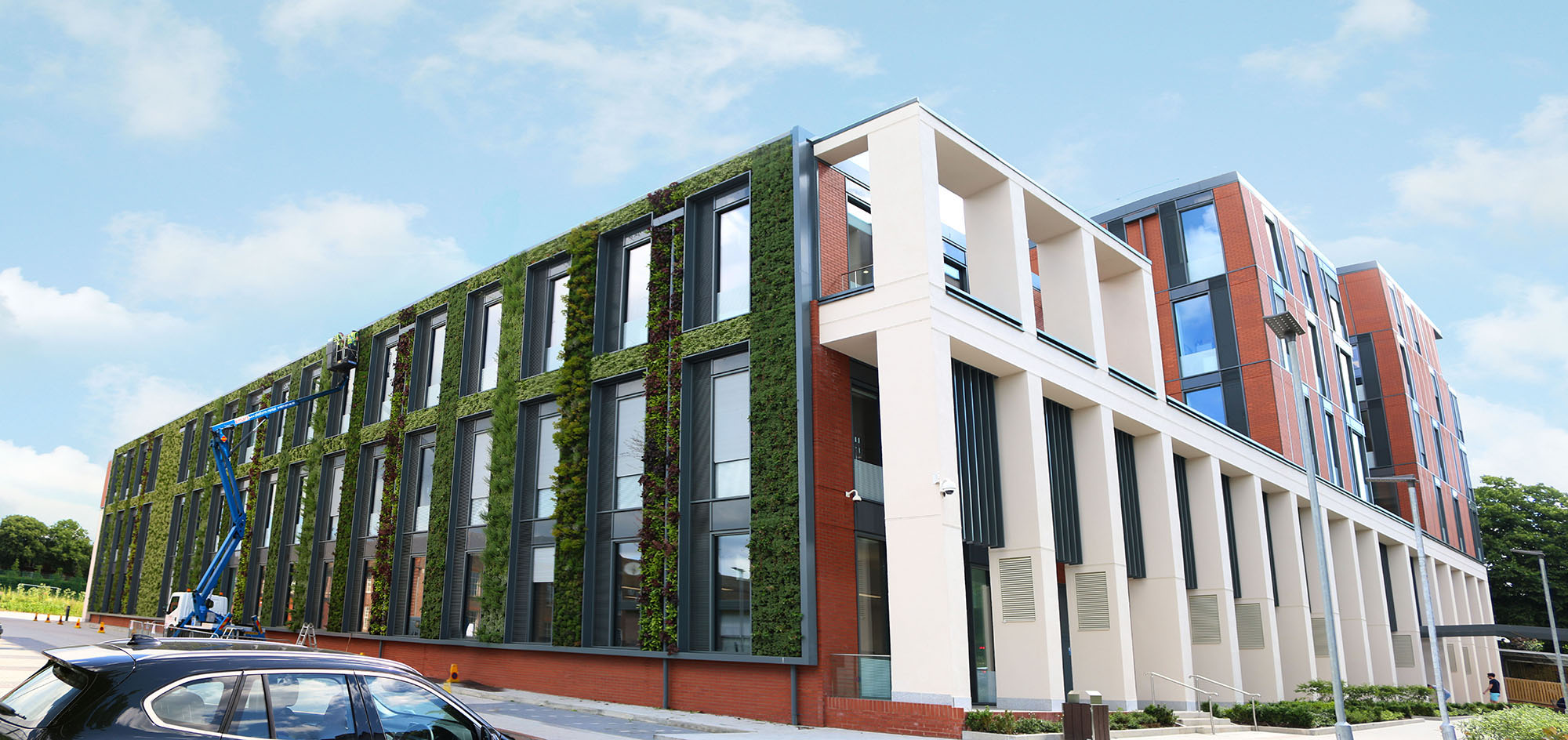 What Are Living Green Walls Benefits & How They're Made