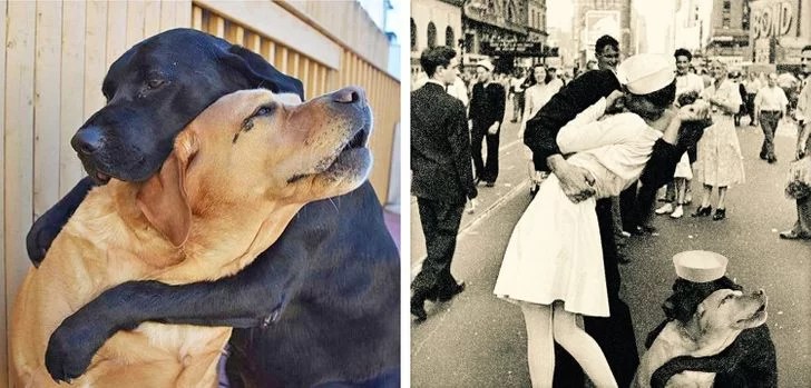 18 Foto modificate con che ci hanno fatto piangere dalle risate