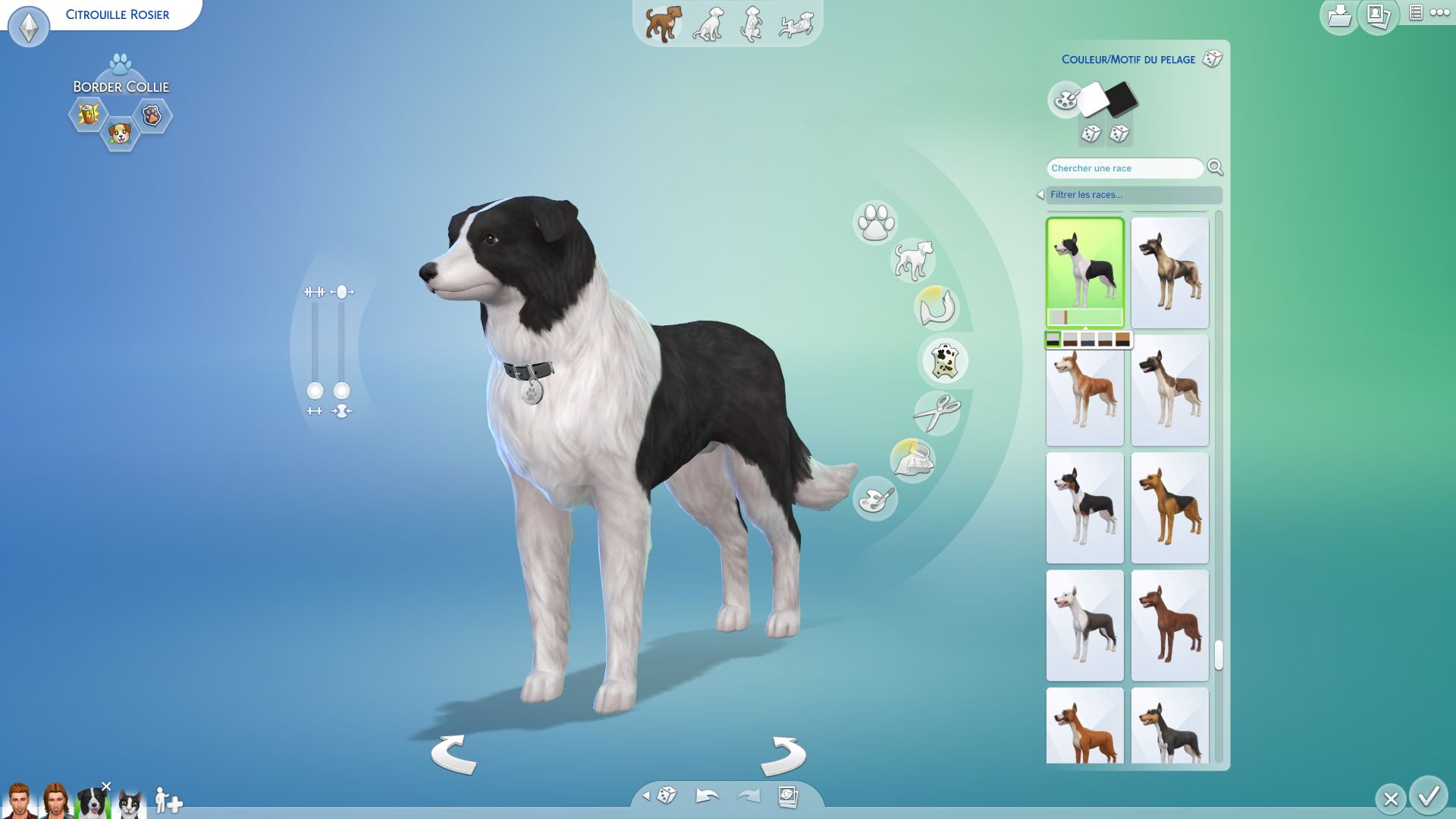 Zoom sur Les Sims 4 Chiens et Chats GameHer