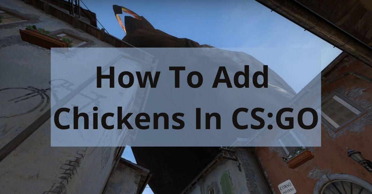 How To Add Chickens In CSGO Chicken Commands Game Info