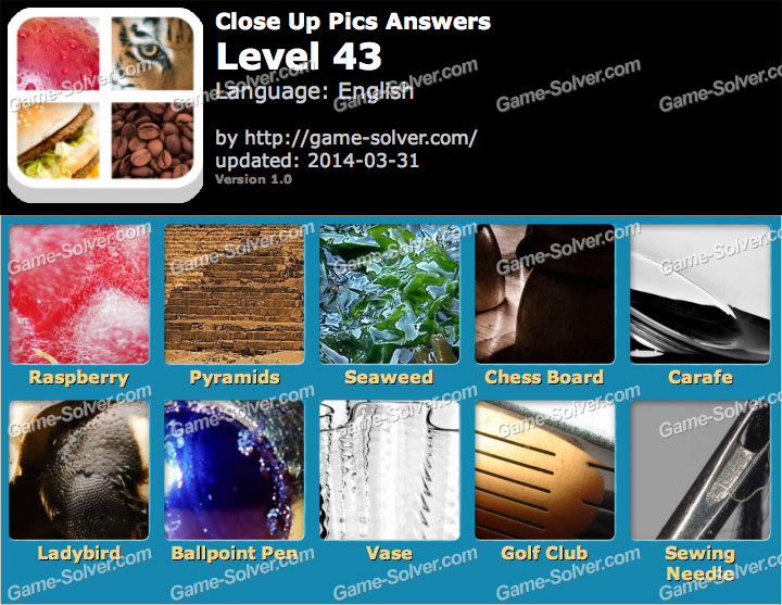 Close Up Pics Level 43 • Game Solver