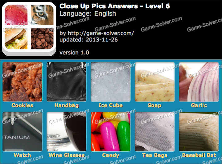 Close Up Pics Level 6 Game Solver