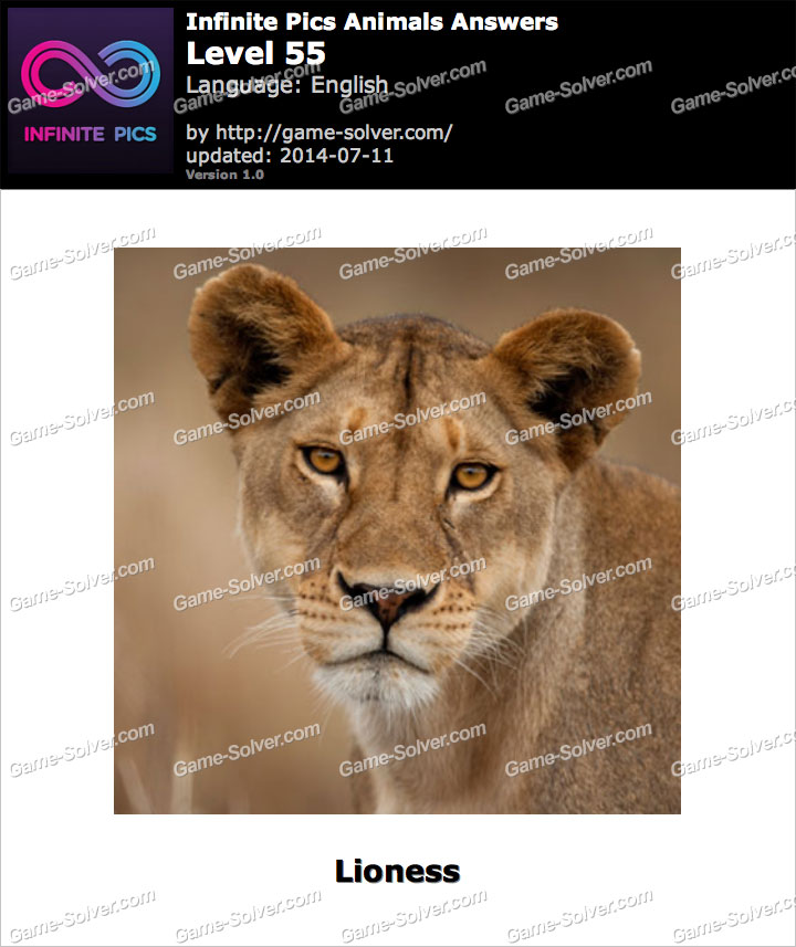 Infinite Pics Animals Level 55 Game Solver