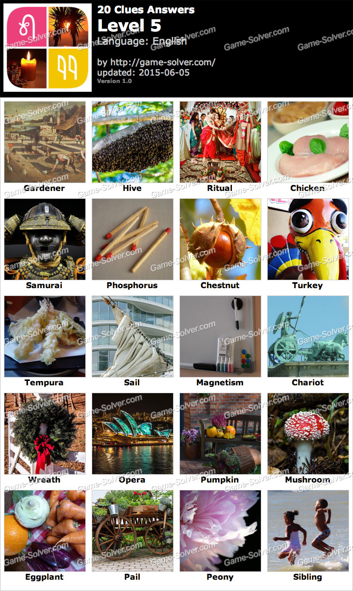 20 Clues Level 5 • Game Solver