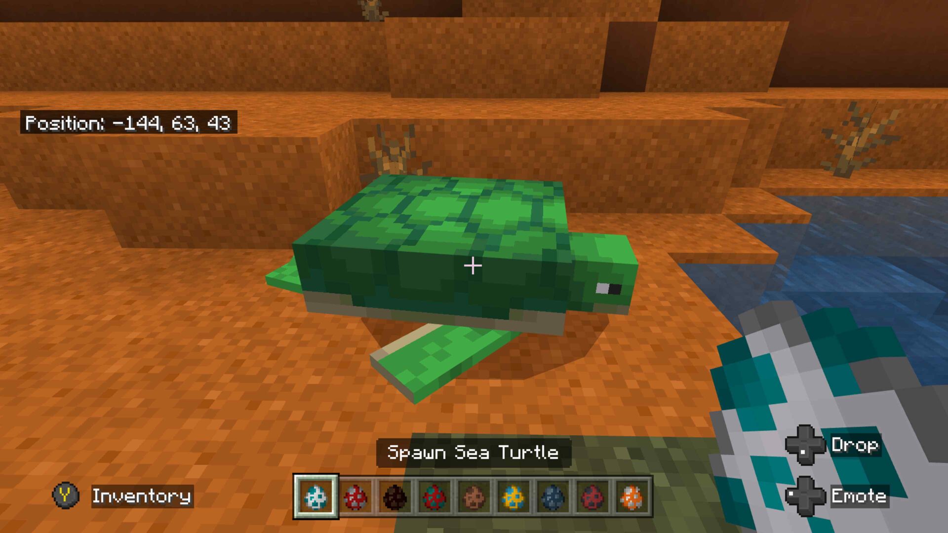 What Do Turtles Eat In Minecraft? The Ultimate Guide
