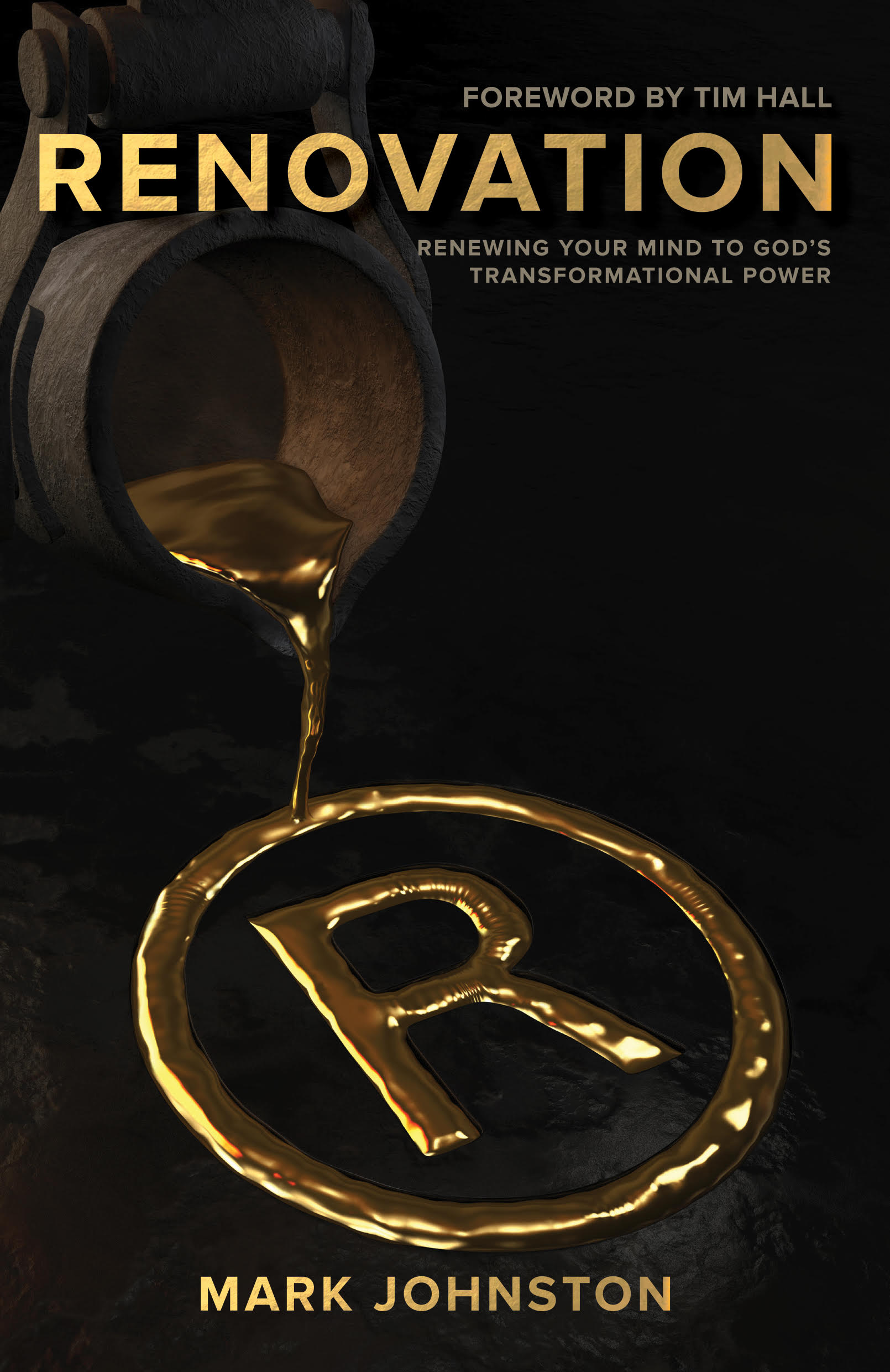 Renovation (eBook) Game Changer Intensive